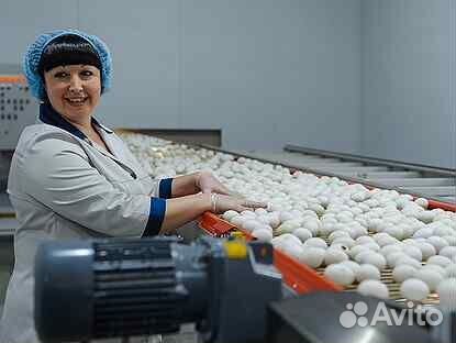 Вахта Упаковщик яичек Москва проживание+питание