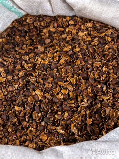 Кедровая скорлупа