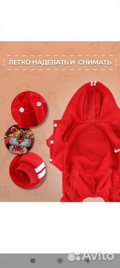 Одежда для маленьких собак пакетом