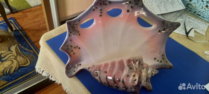 Ракушка фарфоровая