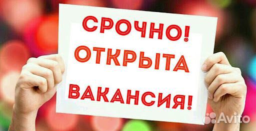 Начинающий специалист отдела продаж