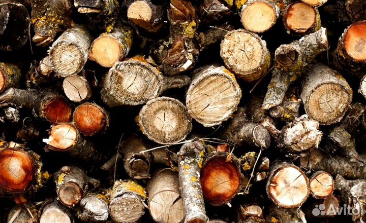 Дрова арома