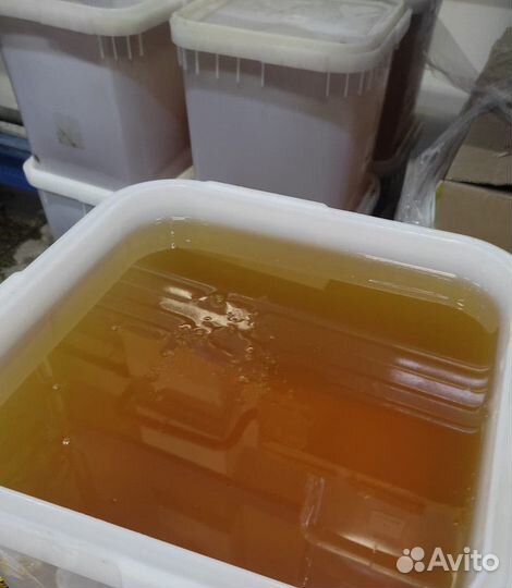 Акациевый мёд свежий Качка 2023 опт