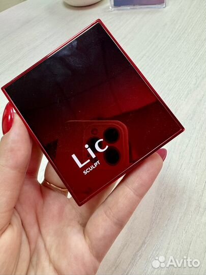 Скульптор lic