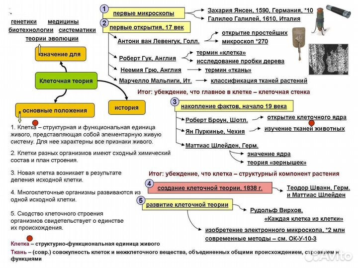 Репетитор по биологии