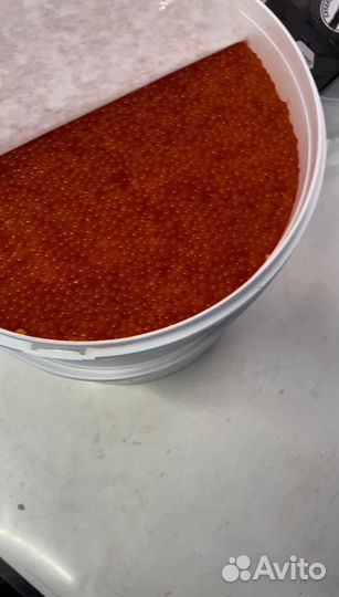 Продам икру форели