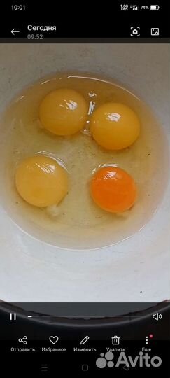 Премикс) премикс для кур