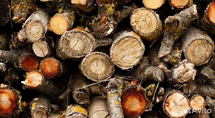 Дрова осина нарубленные