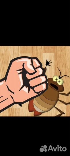 Травить тараканов, уничтожение клопов, дезинсекция