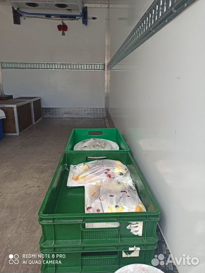 Грузоперевозки спб реф-20+15россия