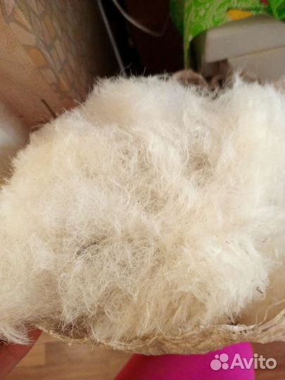 Шерсть овечья