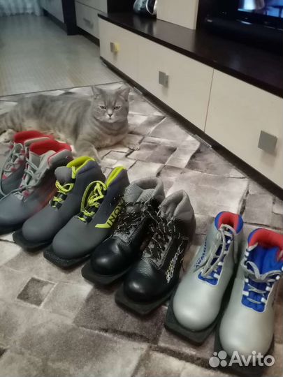 Лыжные ботинки