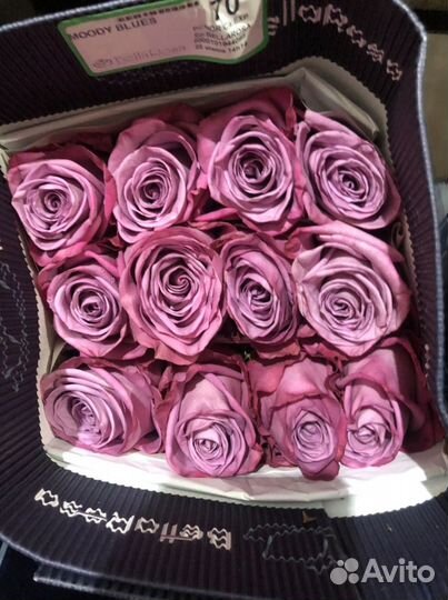 Цветы оптом