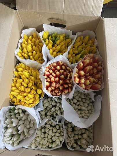 Тюльпаны к 8 марта букеты