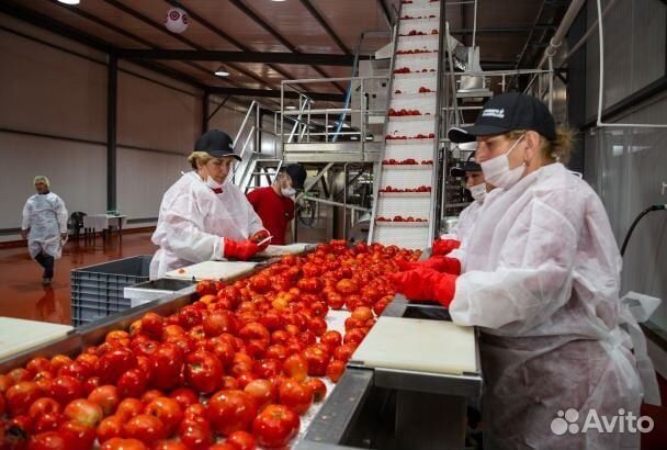 Сортировщик продукции вахта