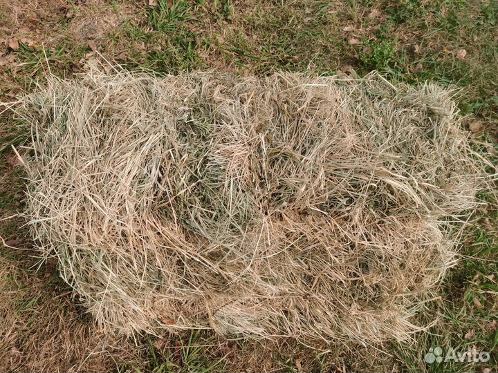 Сено в тюках