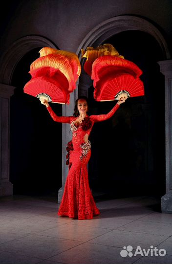 Восточный танец, танец живота, восточное шоу