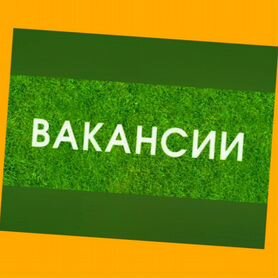 Сварщик Работа вахтой Выплаты еженедельно Жилье/Еда Отл.Усл