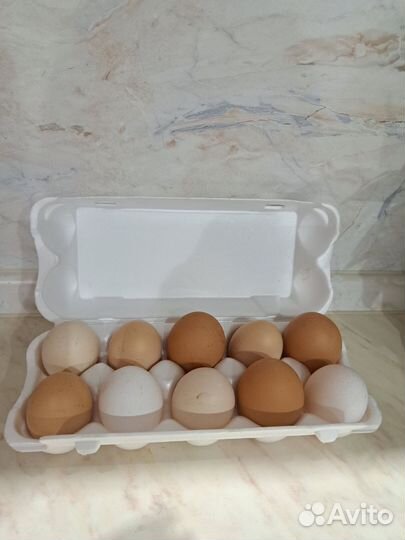 Домашние куриные яйца