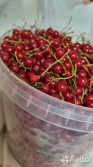 Красная смородина, 3 литра