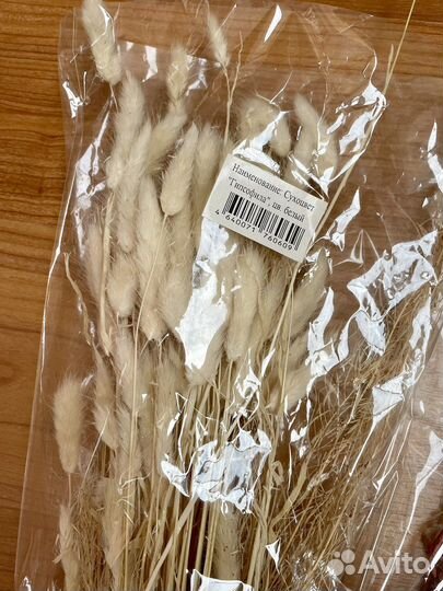 Сухоцветы для творчества