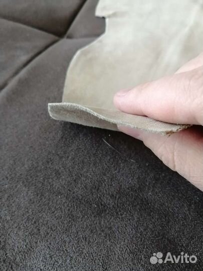 Лайка гармонная