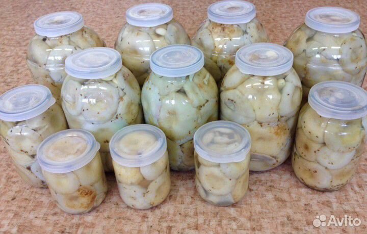 Продаю грибы