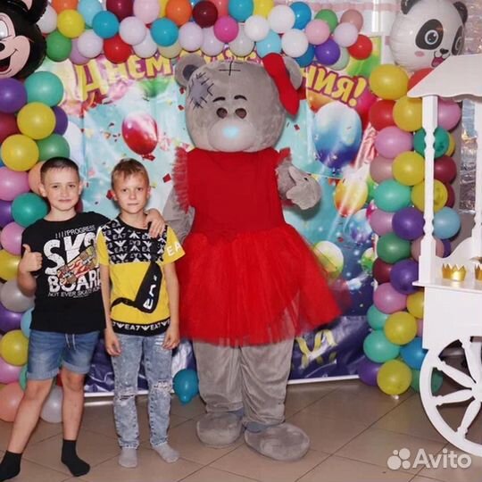 Аниматор Мишка Тедди