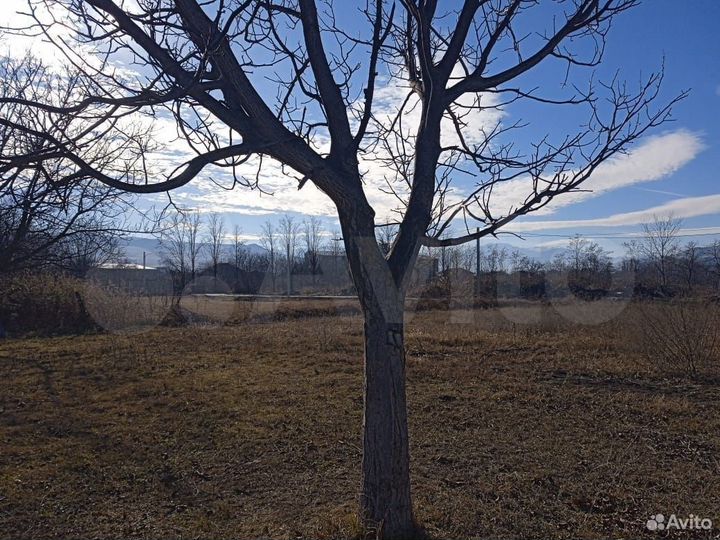 Участок 1500 м² (Грузия)