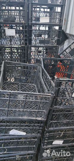 Пластиковые ящики для хранения бу