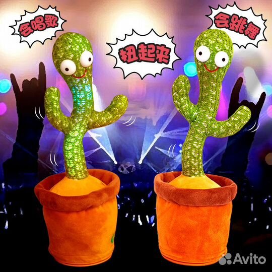 Кактус танцующий в шляпе 6216-1