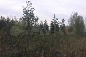 Участок 6 сот. (СНТ, ДНП)