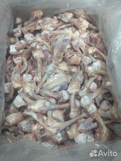 Курыни Кости