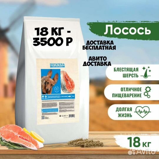 Статера Statera корм для собак с лососем с рыбой