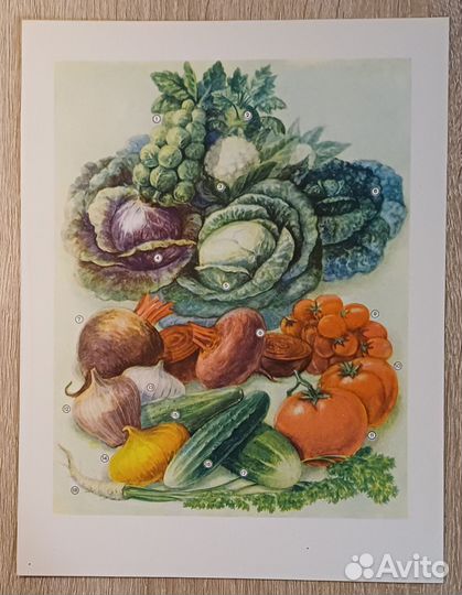 Страница из Детской Советской энциклопедии 62 года