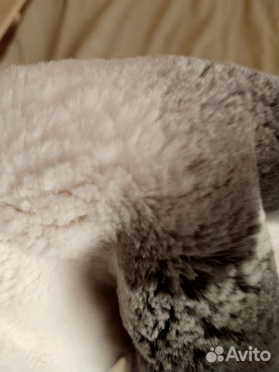 Мех шкурка