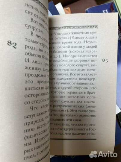 Н.Е. Пестов, Путь к совершенной радости. Сущность