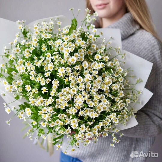 Букет из ромашек Ромашка