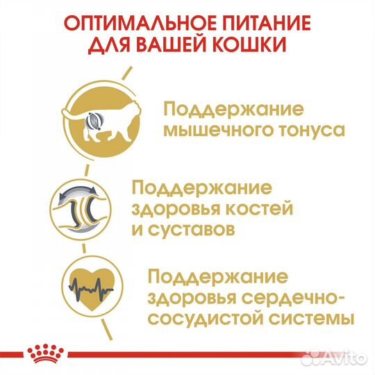 Корм Royal Canin корм для британских короткошерстн