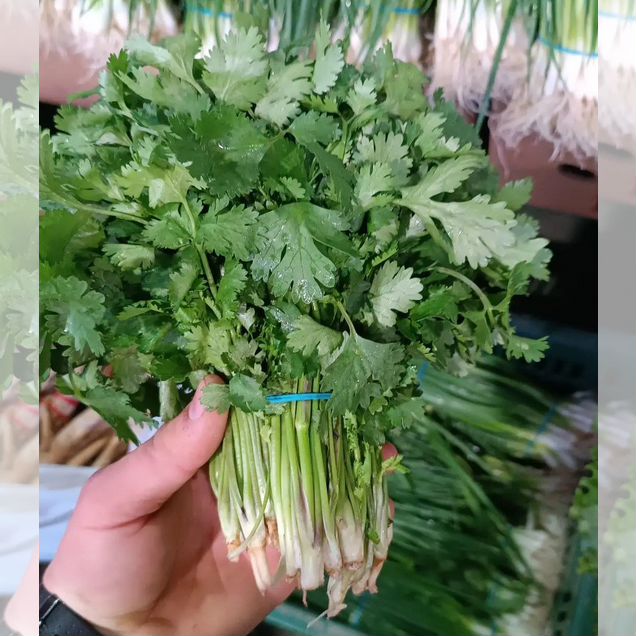 Свежая кинза и широкий ассортимент зелени