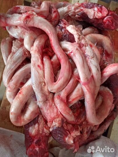 Мясо говядина для собак