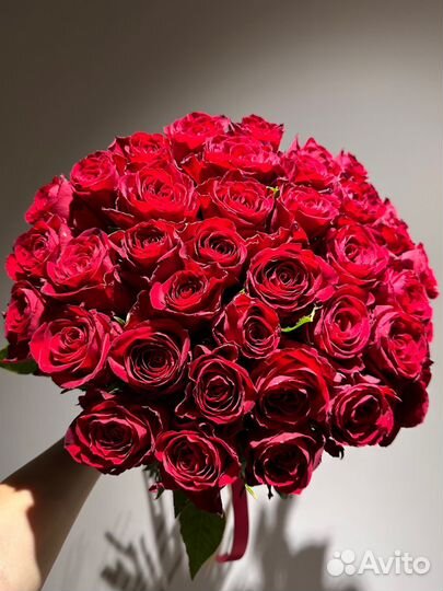Роза красные 50см,доставка цветов