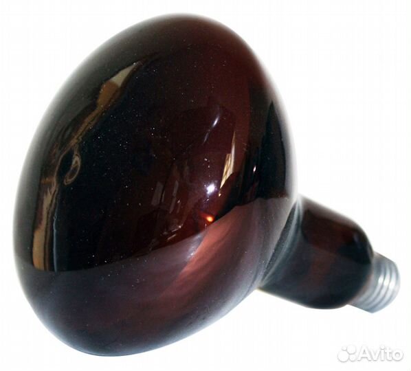 Инфракрасная лампа для обогрева животных