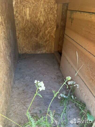 Будка вольер для собаки