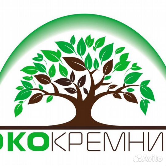 Помощник руководителя