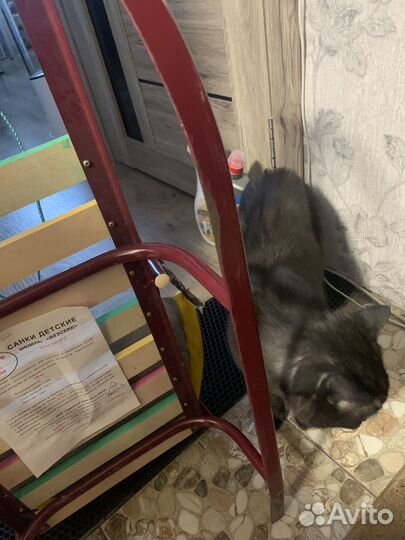 Детские санки