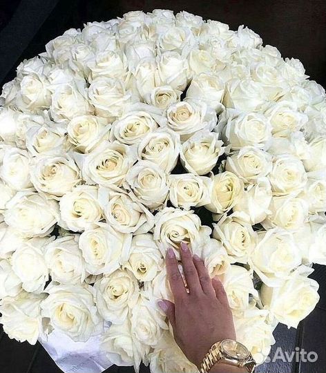 Розы высокие Доставка цветов