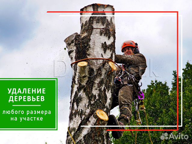 Дровосек удаление деревьев. Спил и кронирование деревьев. арбористика alpconvent. спиленное дерево. опиловка деревьев.