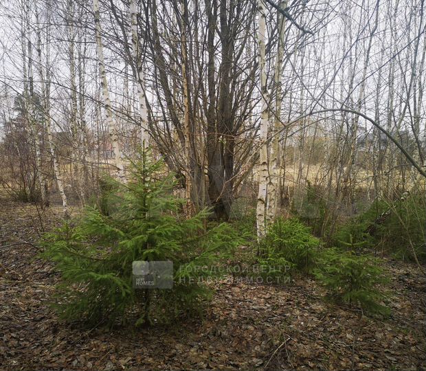Участок 20 сот. (ИЖС)