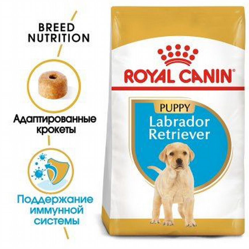 Labrador retriever puppy PRO 16 кг